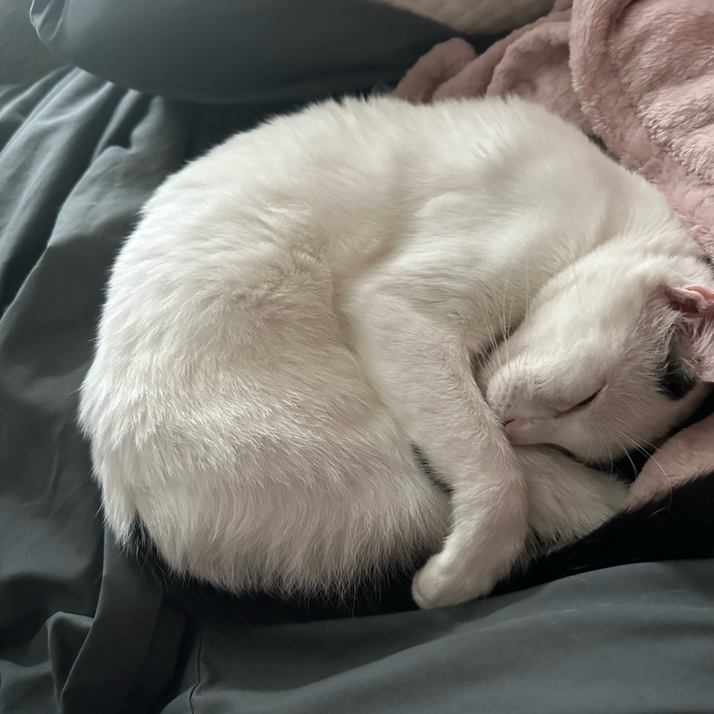 Selling Everything for a more simple life!